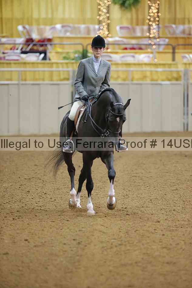 Proof 14usn_13963