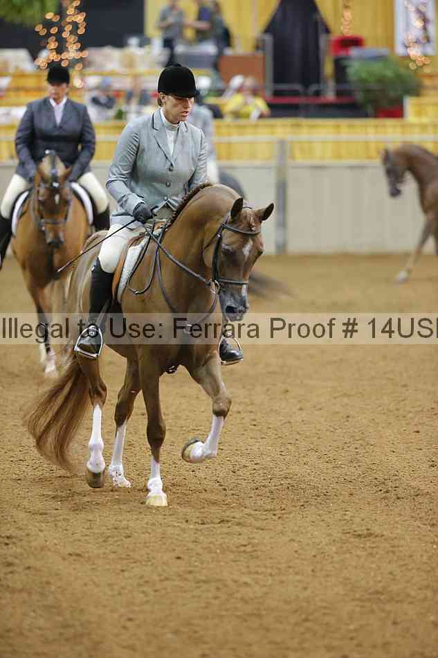 Proof 14usn_13965