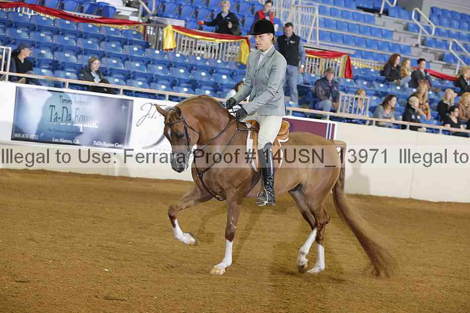 Proof 14usn_13971