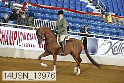 14usn_13976 proof