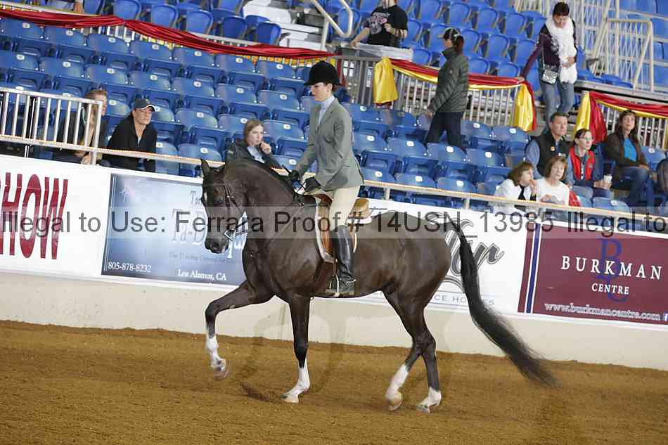 Proof 14usn_13985