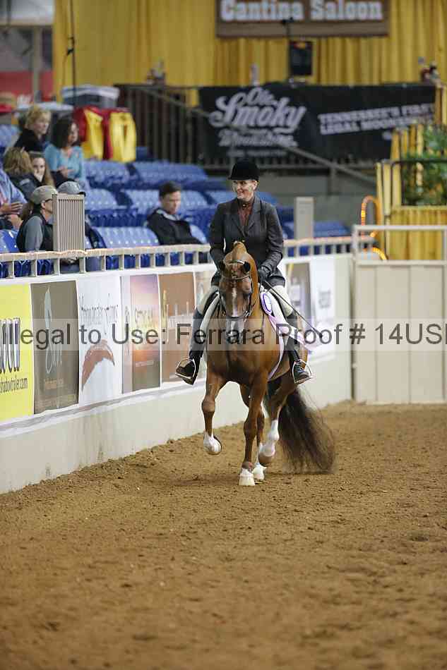 Proof 14usn_13994