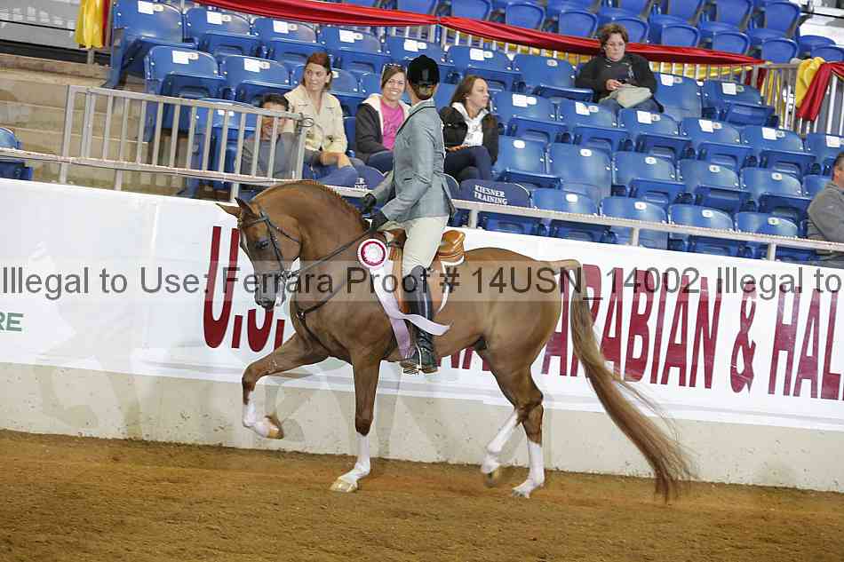Proof 14usn_14002