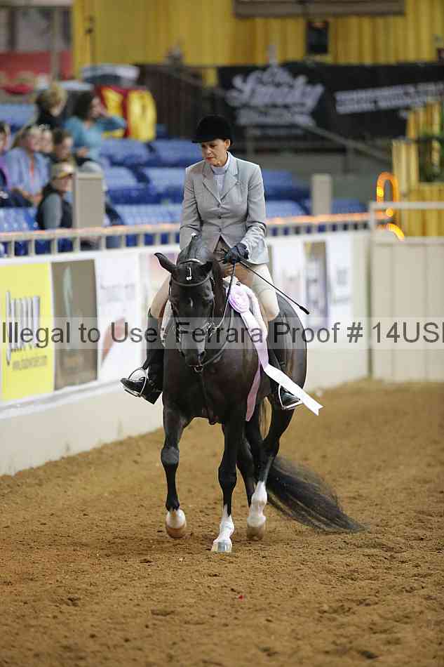 Proof 14usn_14003