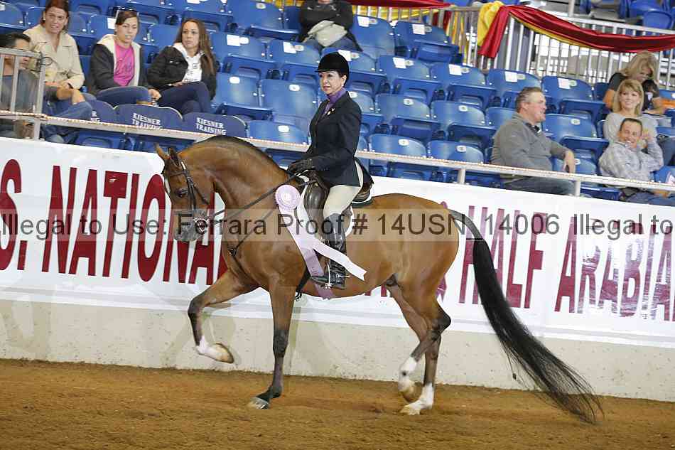 Proof 14usn_14006