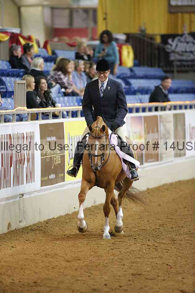 Proof 14usn_14011