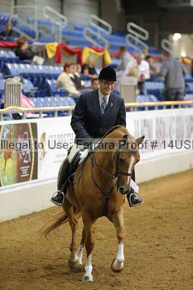 Proof 14usn_14013