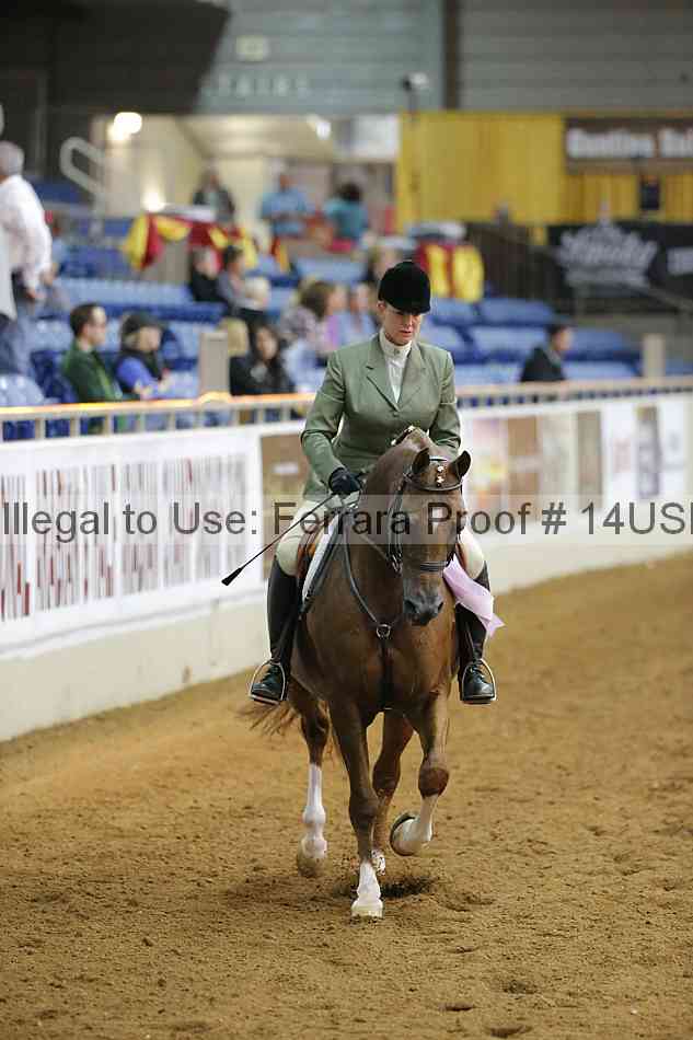 Proof 14usn_14015