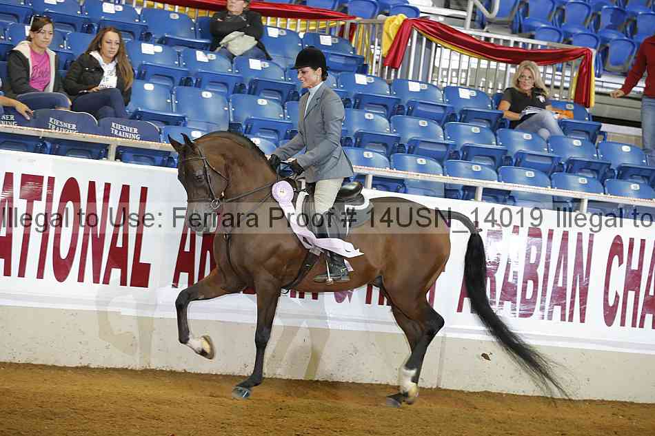 Proof 14usn_14019