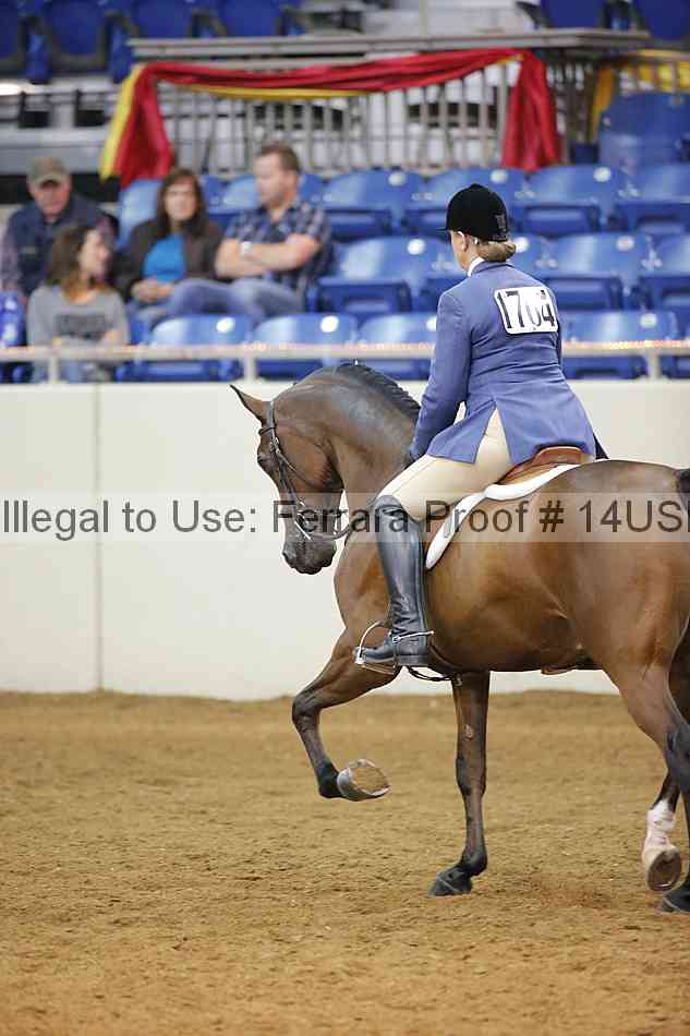Proof 14usn_14022