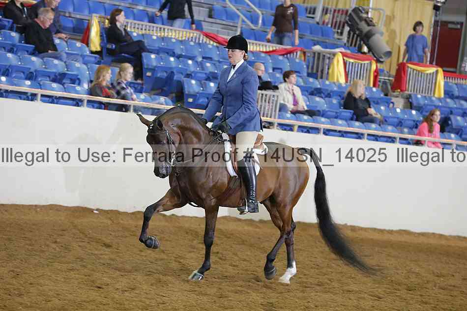 Proof 14usn_14025
