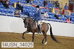 14usn_14025 proof