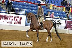 14usn_14028 proof