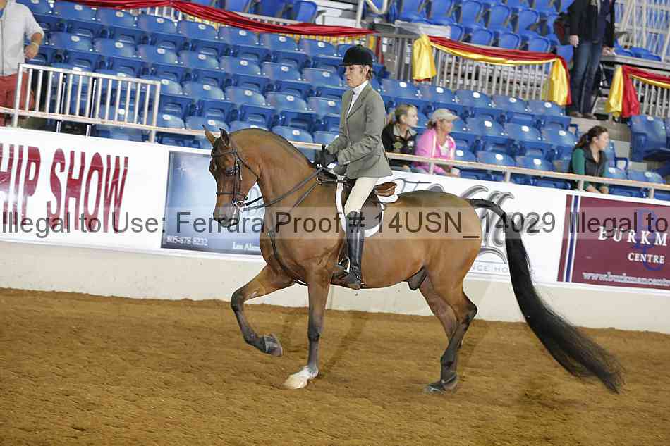 Proof 14usn_14029