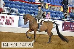 14usn_14029 proof
