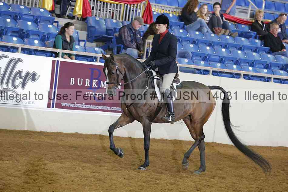Proof 14usn_14031