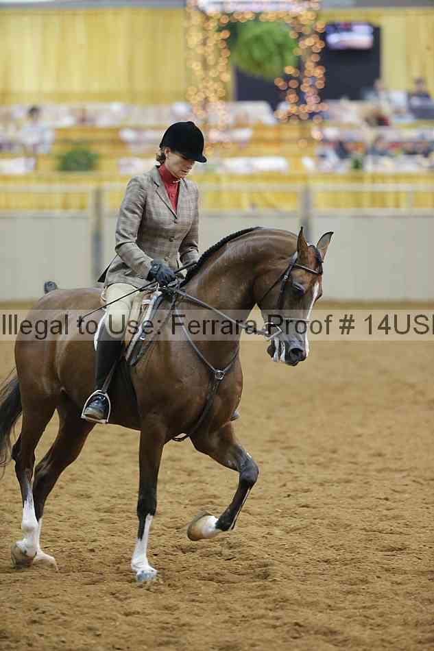 Proof 14usn_14036