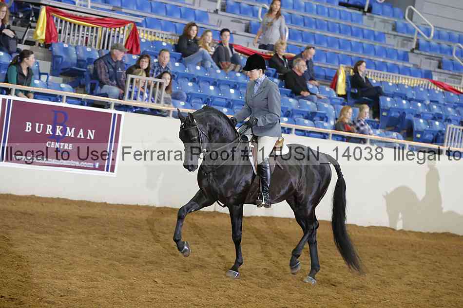 Proof 14usn_14038