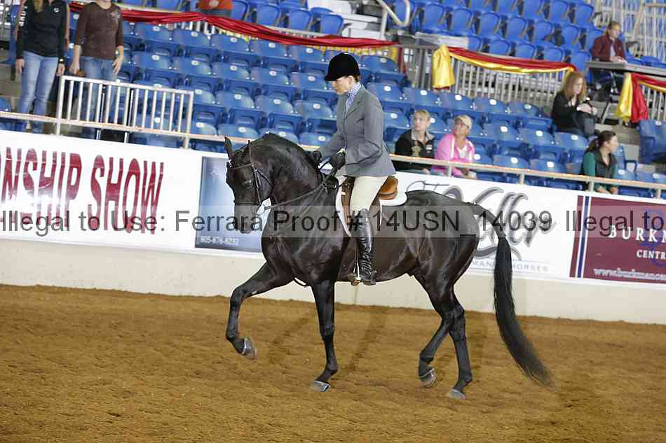 Proof 14usn_14039