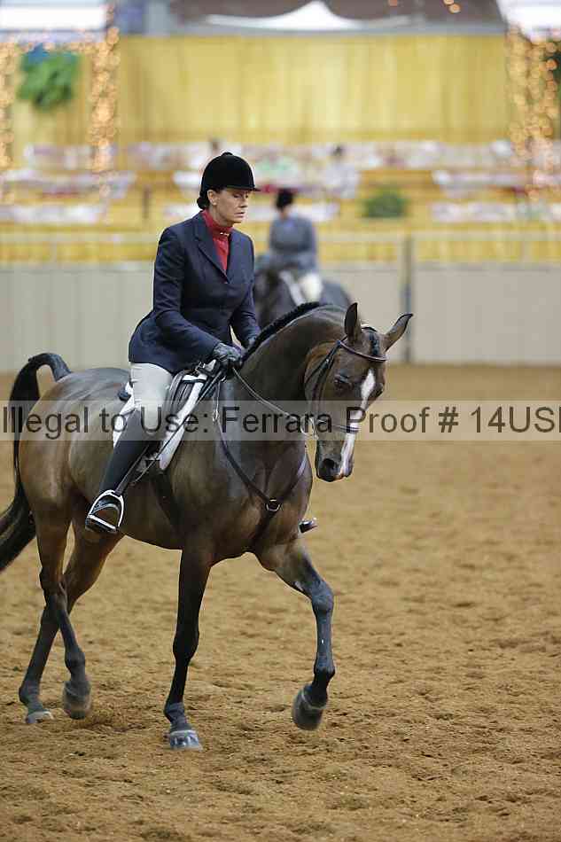 Proof 14usn_14043