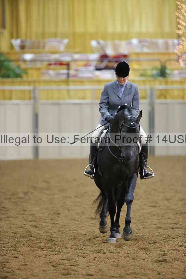 Proof 14usn_14046