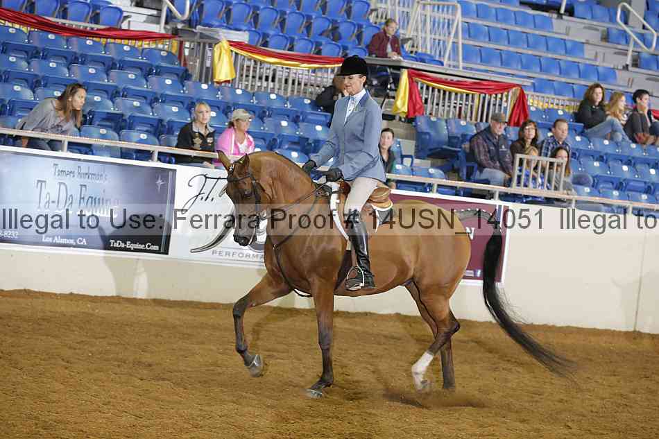 Proof 14usn_14051