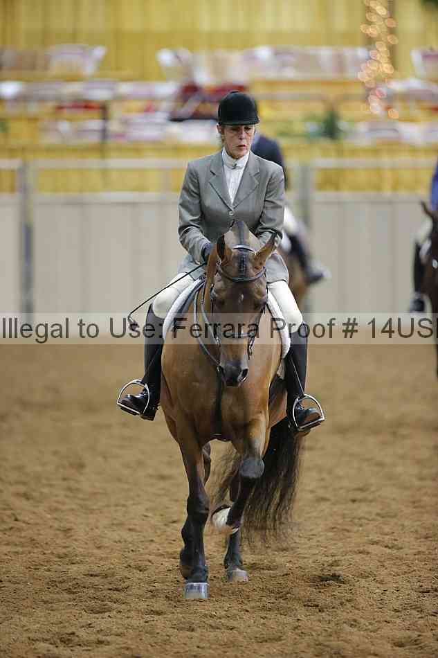 Proof 14usn_14053