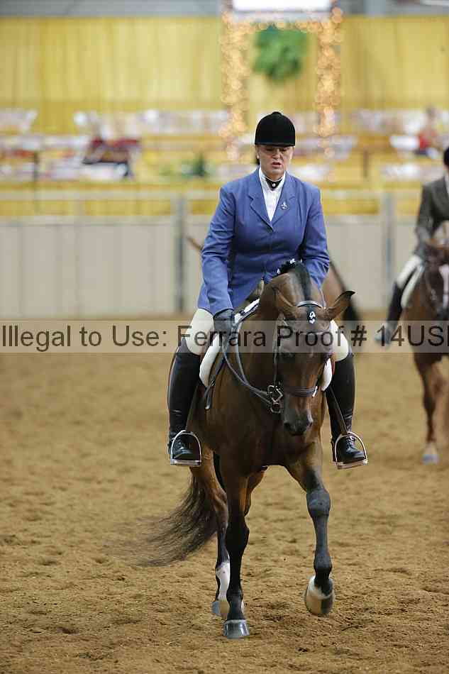 Proof 14usn_14056