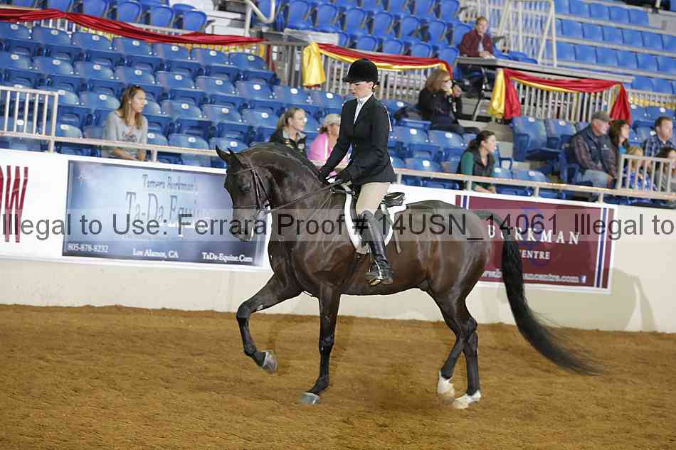 Proof 14usn_14061