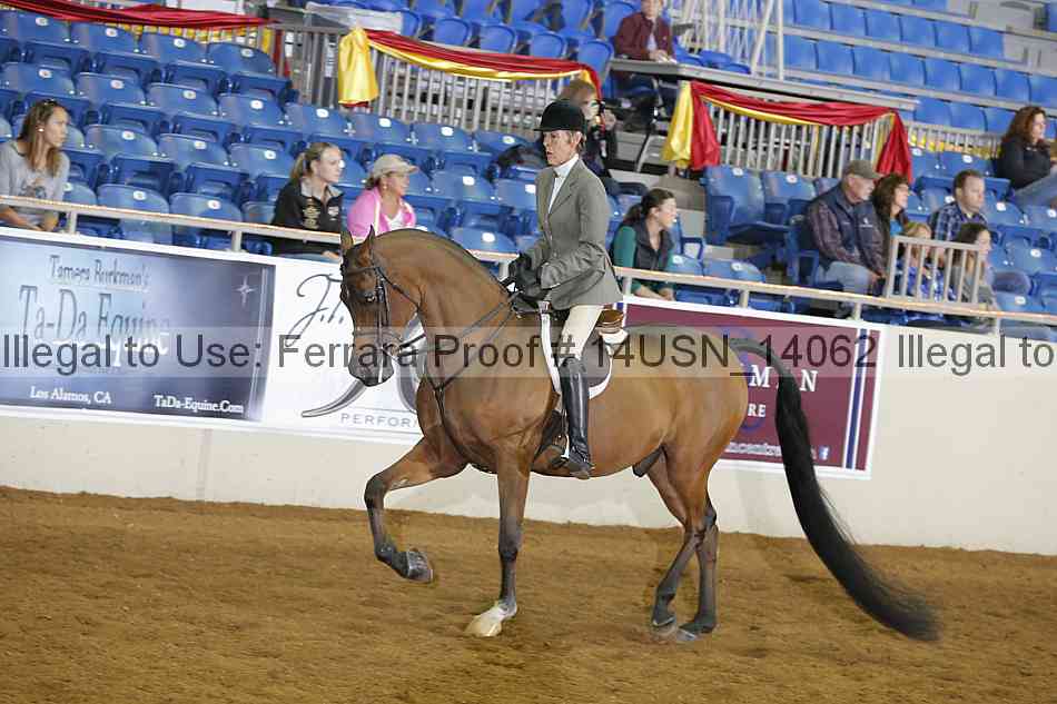 Proof 14usn_14062