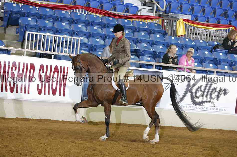 Proof 14usn_14064