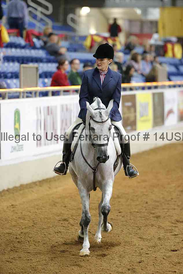 Proof 14usn_14065