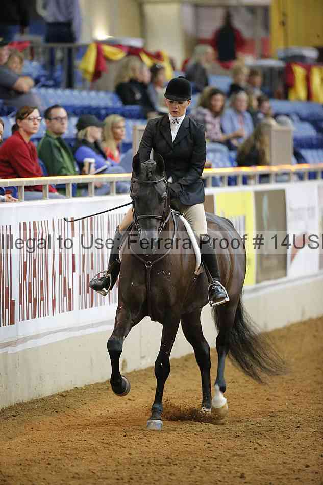 Proof 14usn_14067