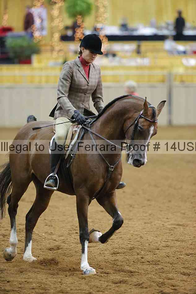 Proof 14usn_14069