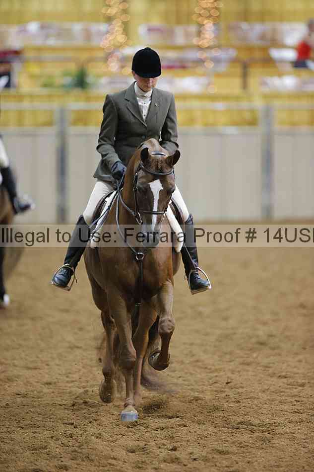 Proof 14usn_14070