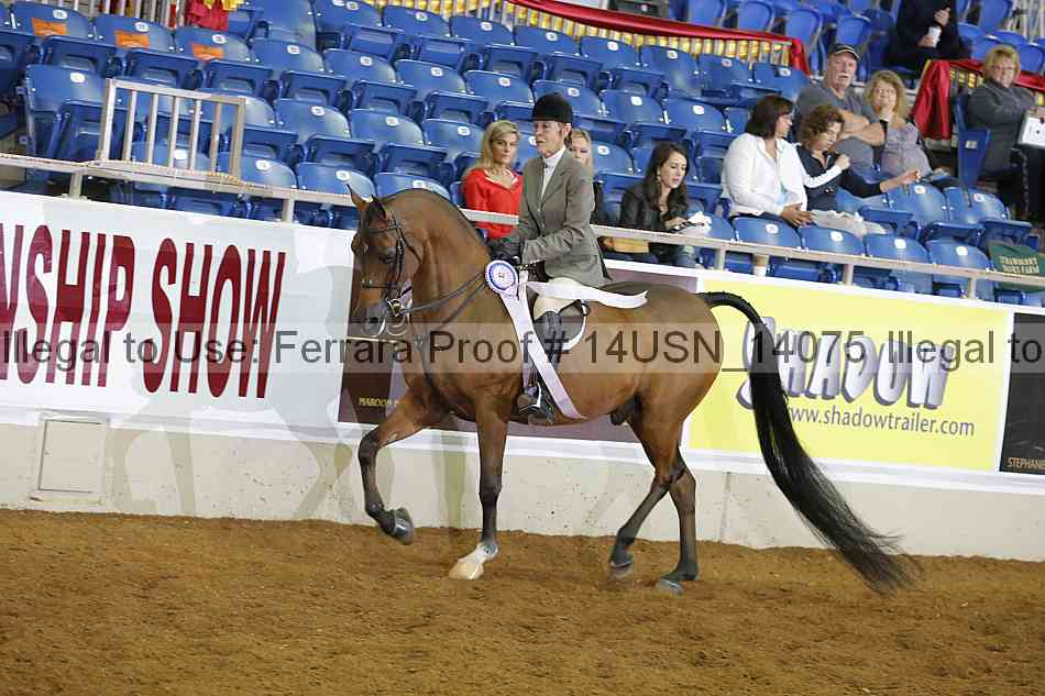 Proof 14usn_14075