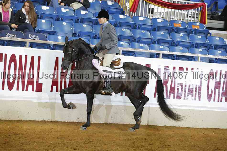 Proof 14usn_14087