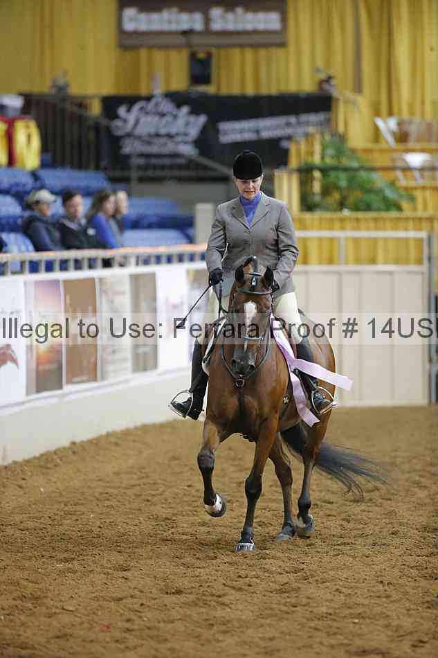 Proof 14usn_14088