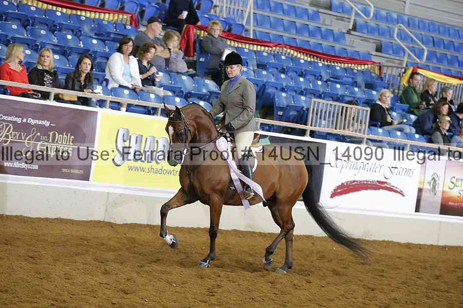 Proof 14usn_14090