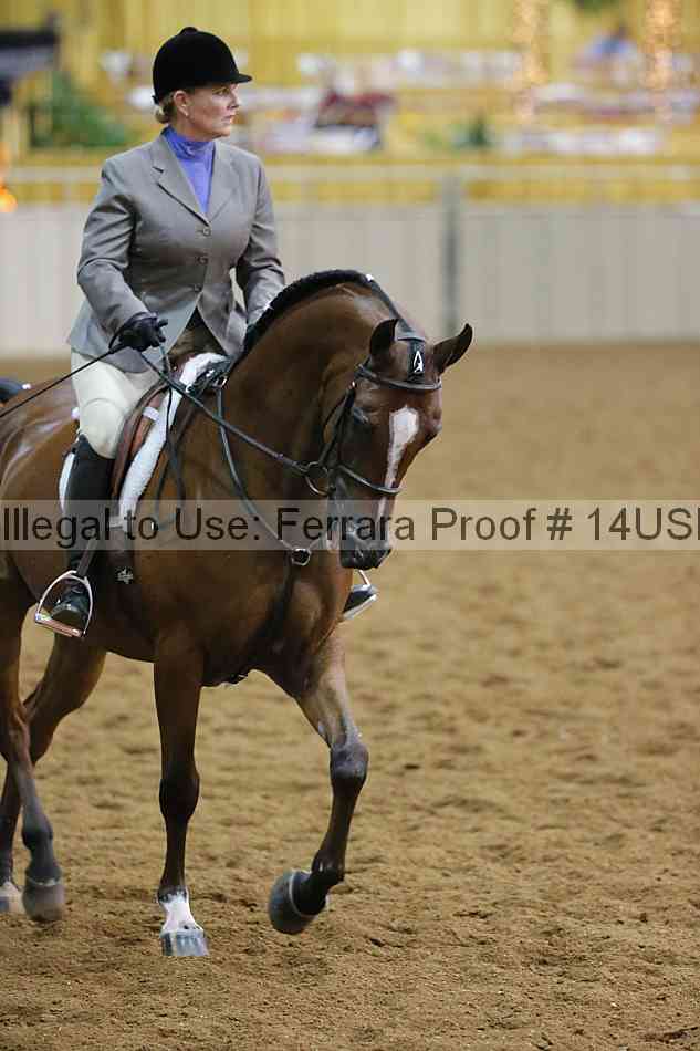 Proof 14usn_14092
