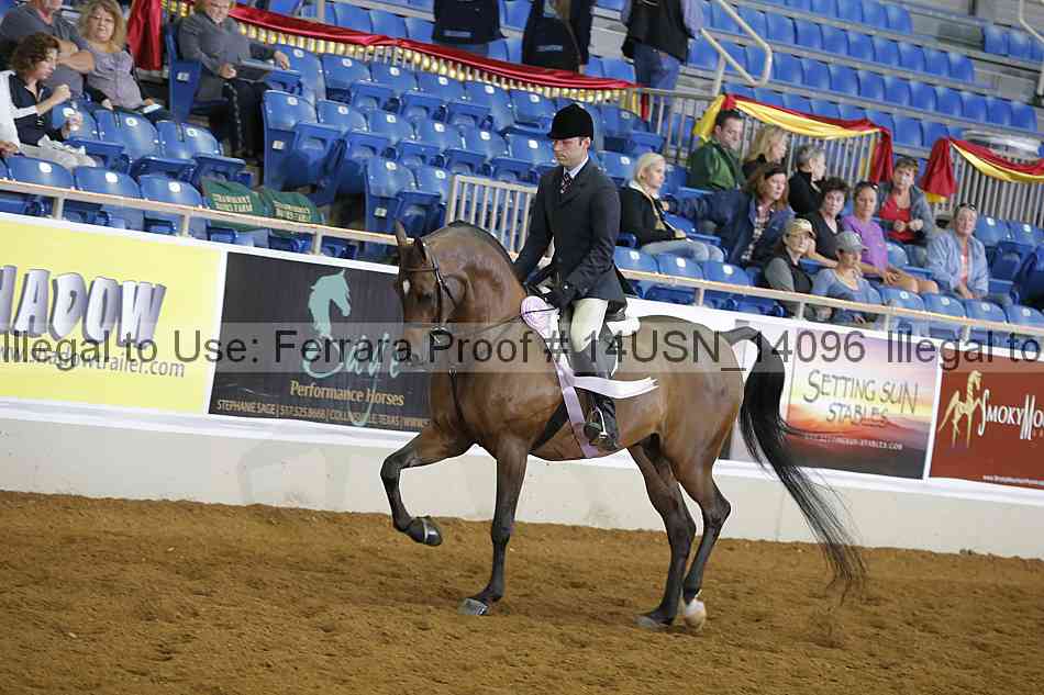 Proof 14usn_14096