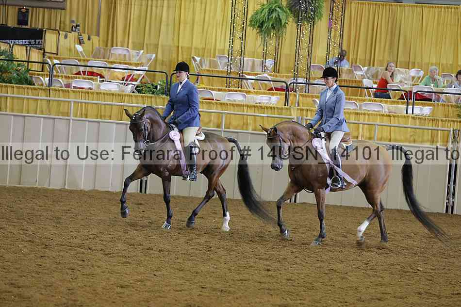 Proof 14usn_14101