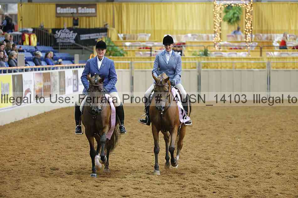 Proof 14usn_14103