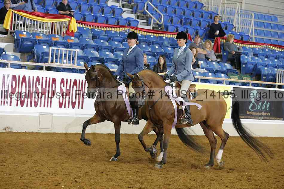 Proof 14usn_14105