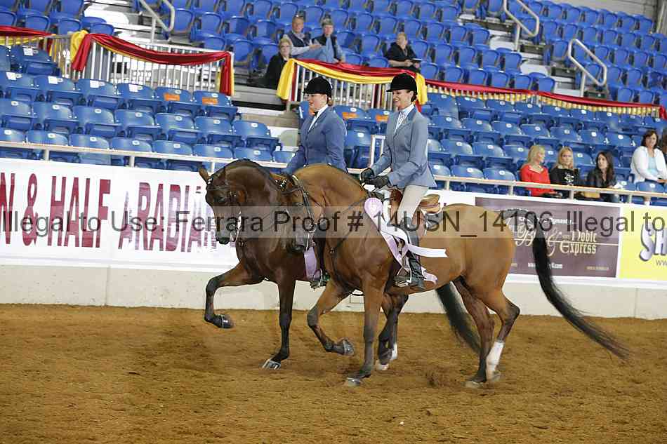 Proof 14usn_14106
