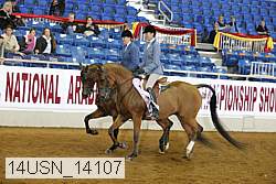 14usn_14107 proof