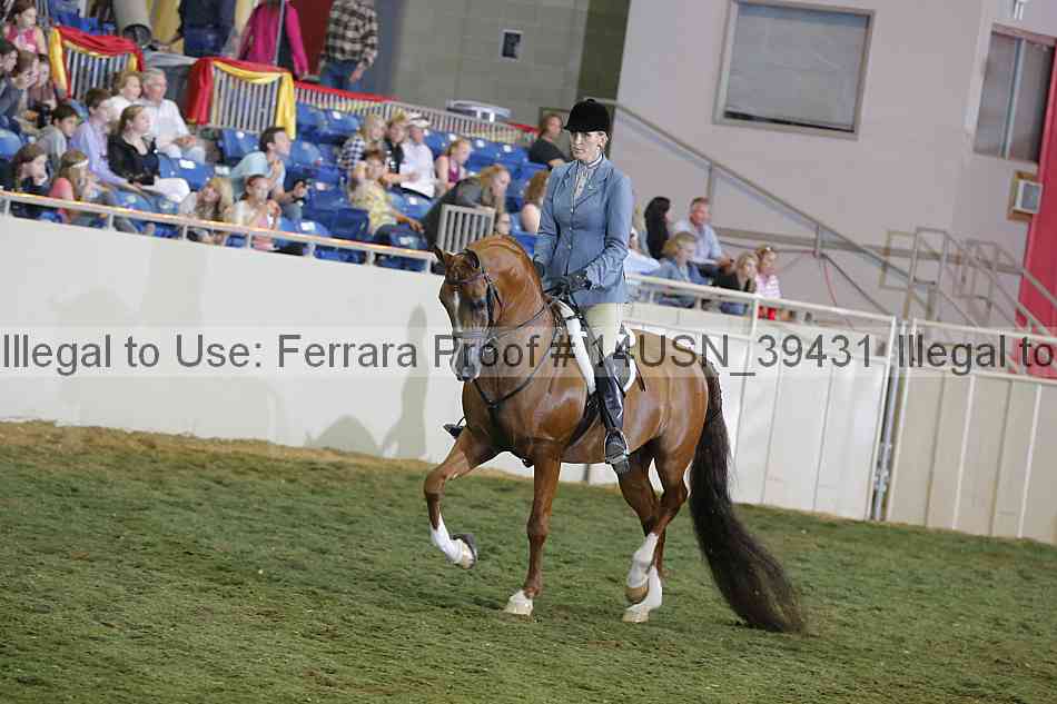 Proof 14usn_39431