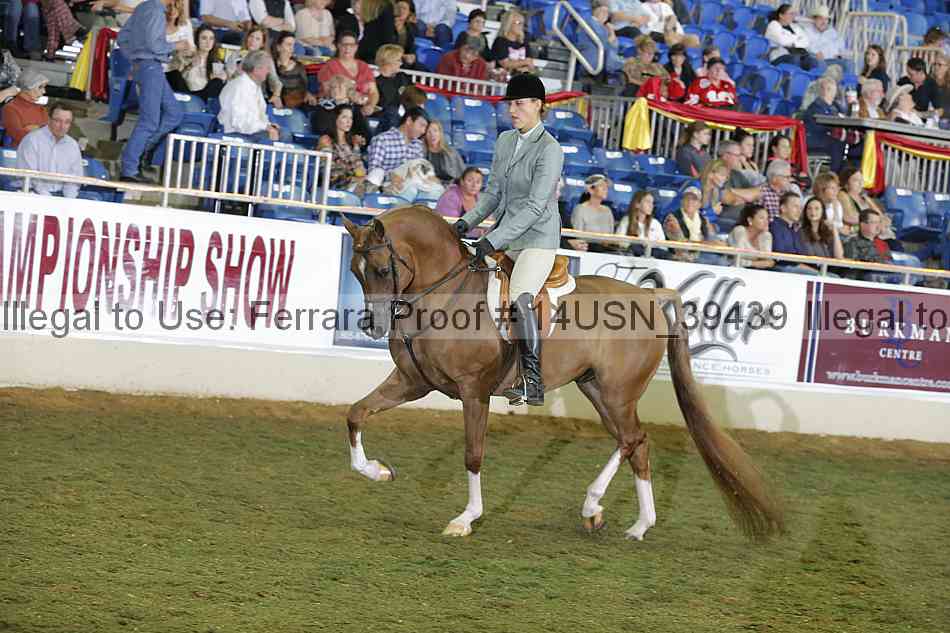 Proof 14usn_39439