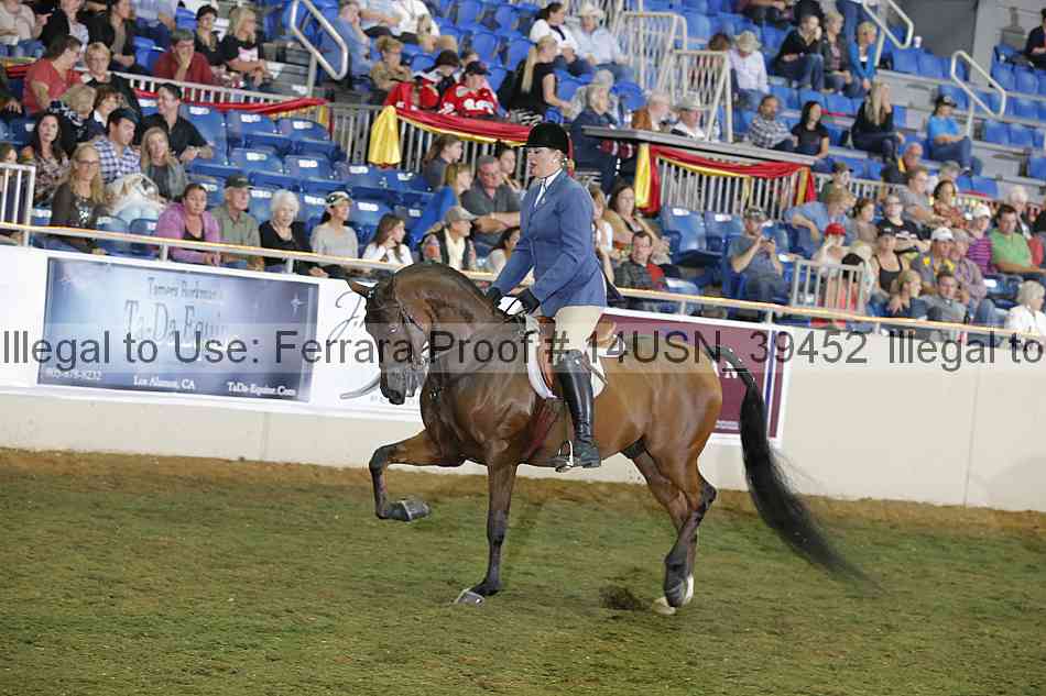 Proof 14usn_39452
