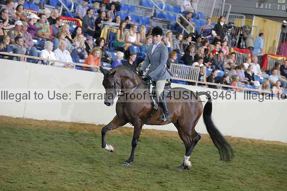 Proof 14usn_39461